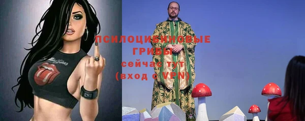 бошки Володарск