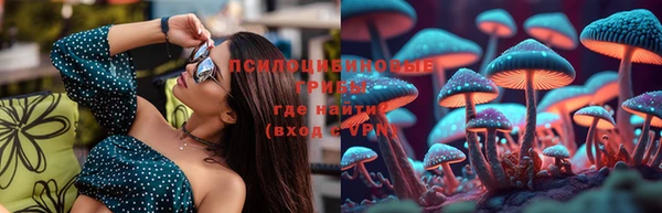 гидра Вязники