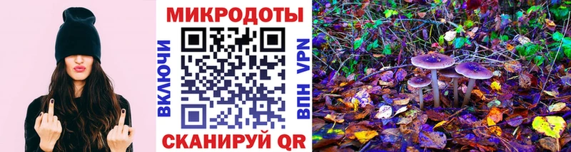 кракен как зайти  Дудинка  Галлюциногенные грибы Psilocybe  что такое  